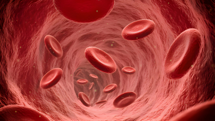 Lupus erythematodes und Hautsymptome